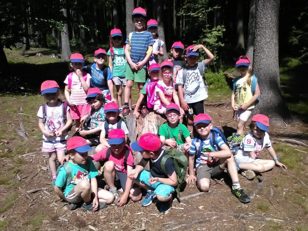 Děti se fotí na pařezu v lese.