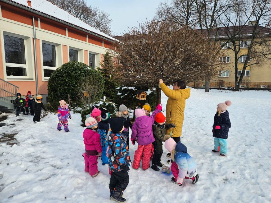 Děti věsí krmítka.